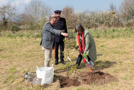 The University’s Vice-Chancellor, Professor Dame Janet Beer, planted the first tree, a Betula, at Ness Gardens in March 2022.