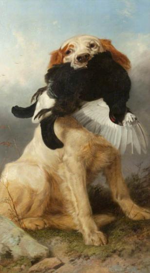 Richard Ansdell: Retriever with Black Capercaillie, 1868 (oil on canvas). Collection of Lytham St Annes Art Collection, Fylde Council