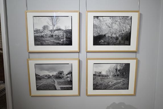 Allotments Exhibition Photograph by David Lockwood