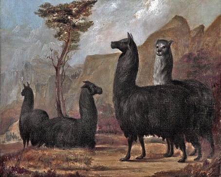 Alpacas by Jacques Laurent Agasse  (c.1840, oil on canvas)