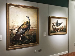 The Audubon Gallery with paintings of birds and American wildlife