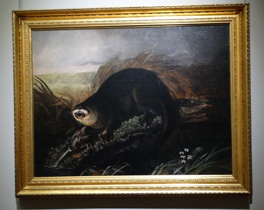Audubon's Otter Caught in a Trap painting