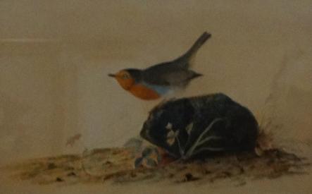 Audubon's Painting - 'A Robin Perched on a Mossy Stone'