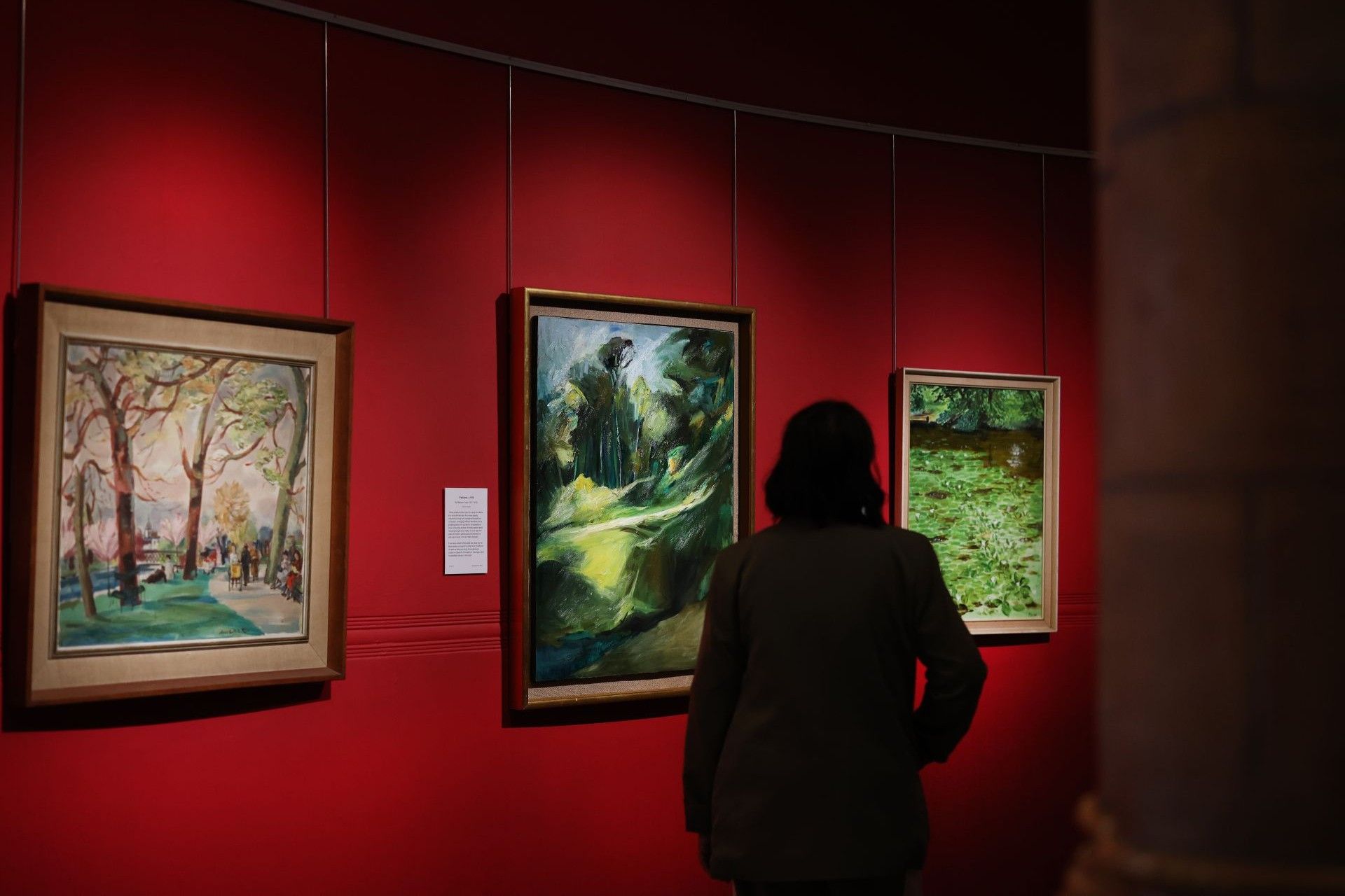 The silouhette of a person from behind looking at a painting pn a red background