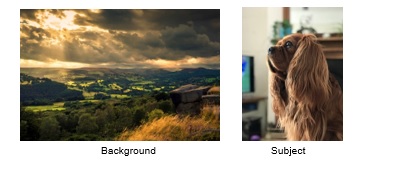 Choose your subject and your background