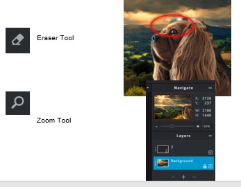 The Eraser and Zoom tools