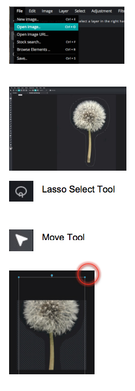 Use the Lasso tool