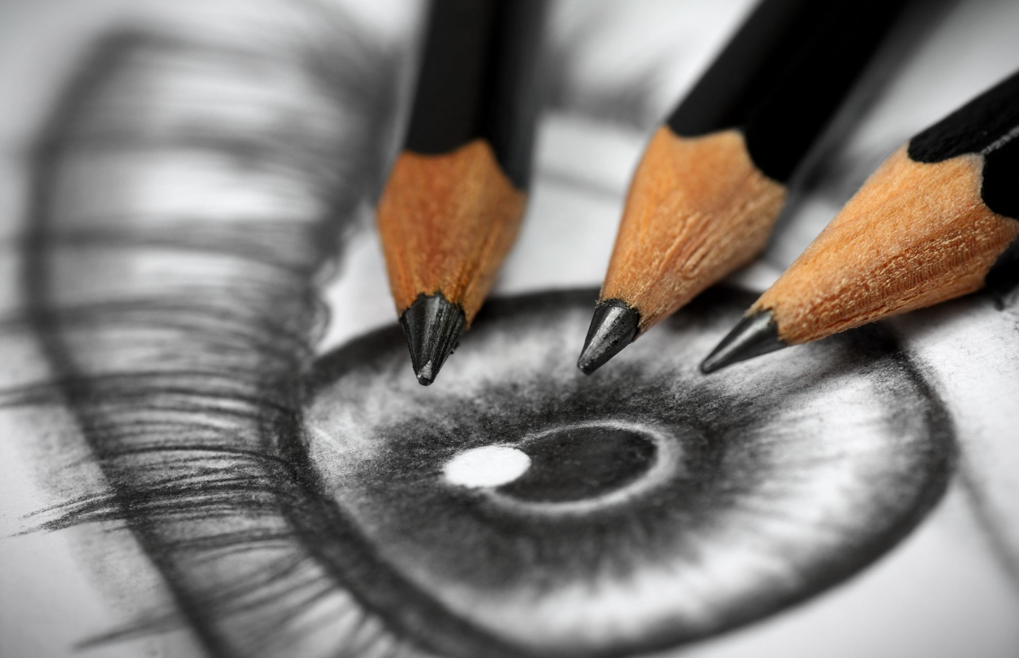 A picture of a drawing of an eye with three pencils laying on top of the paper